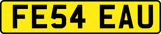 FE54EAU