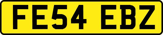 FE54EBZ