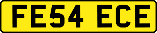 FE54ECE