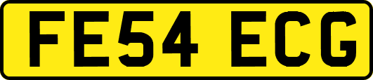 FE54ECG