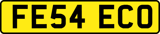 FE54ECO