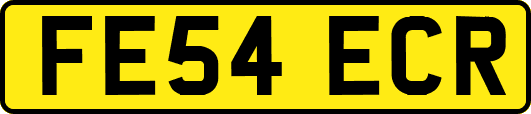 FE54ECR