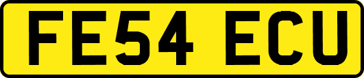 FE54ECU