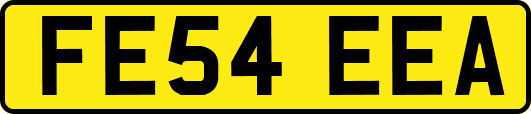 FE54EEA