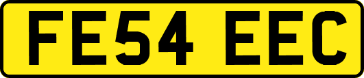 FE54EEC