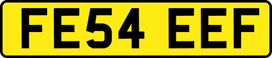FE54EEF