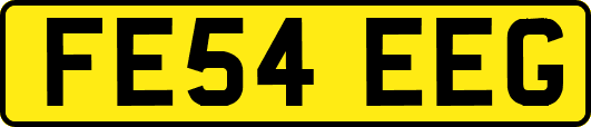 FE54EEG