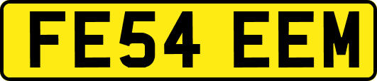 FE54EEM