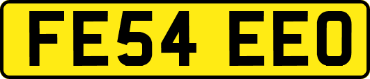 FE54EEO