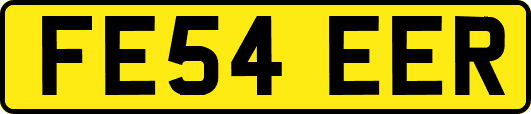 FE54EER