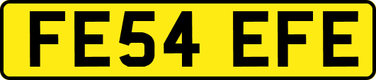 FE54EFE