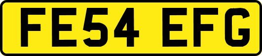 FE54EFG
