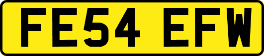 FE54EFW