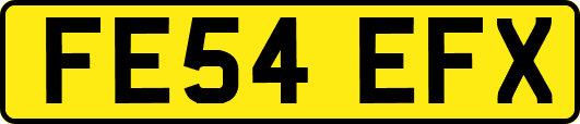 FE54EFX