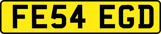FE54EGD
