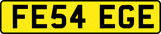 FE54EGE