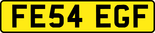 FE54EGF