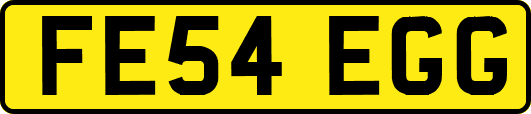 FE54EGG
