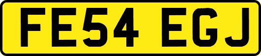 FE54EGJ