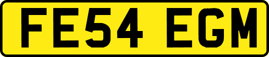 FE54EGM