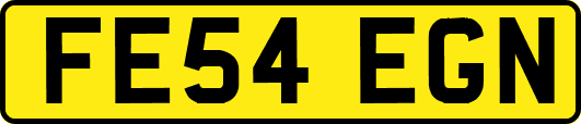 FE54EGN