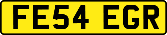 FE54EGR