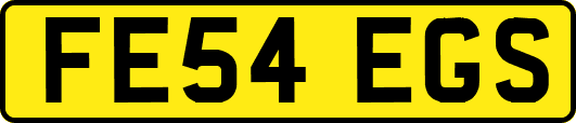 FE54EGS
