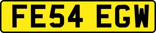 FE54EGW