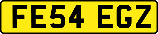 FE54EGZ