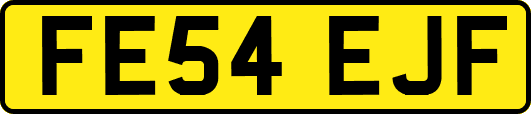 FE54EJF