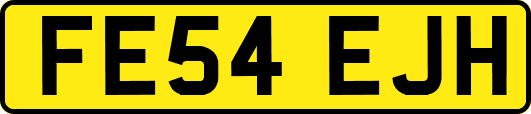FE54EJH