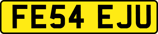 FE54EJU