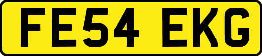 FE54EKG