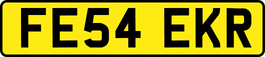 FE54EKR