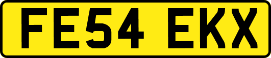 FE54EKX