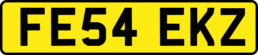 FE54EKZ