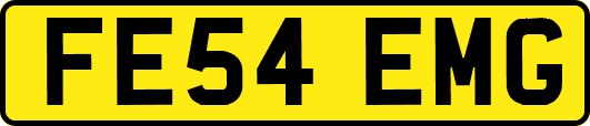 FE54EMG