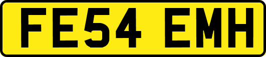 FE54EMH