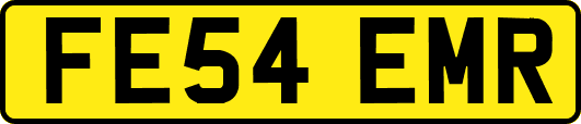 FE54EMR