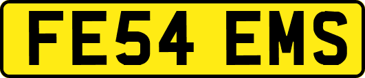FE54EMS
