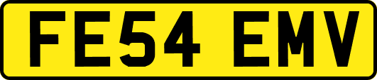 FE54EMV