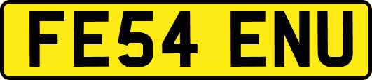 FE54ENU
