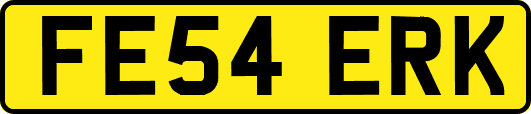 FE54ERK