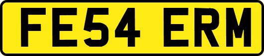 FE54ERM