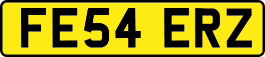 FE54ERZ