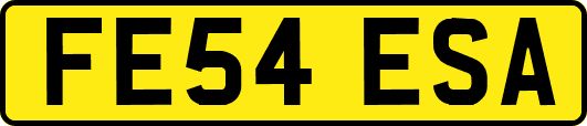 FE54ESA