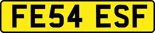 FE54ESF