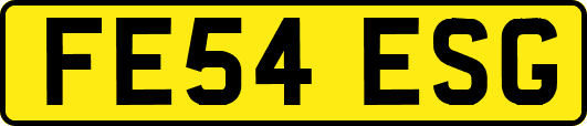 FE54ESG