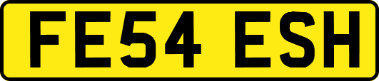 FE54ESH