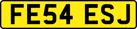 FE54ESJ